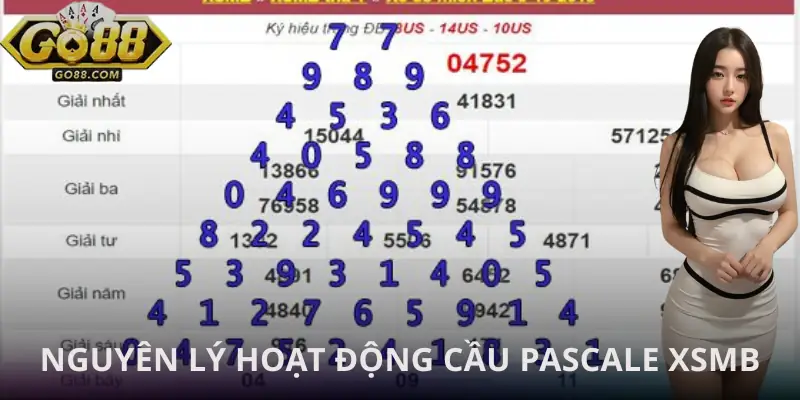 cau-pascale-xo-so-mien-bac-cach-hoat-dong