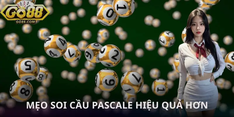 cau-pascale-xo-so-mien-bac-meo-choi