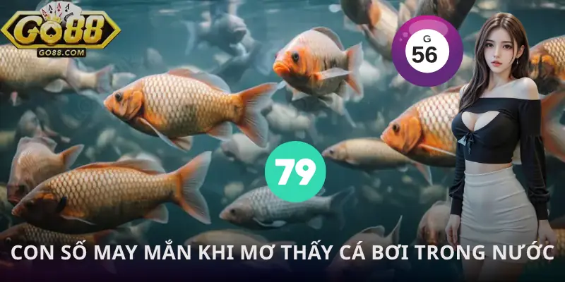 mo-thay-ca-boi-trong-nuoc-con-so-may-man