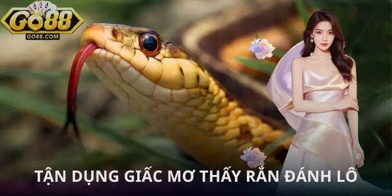 mo-thay-ran-tan-dung-giac-mo