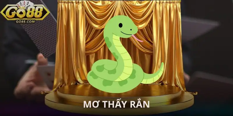 mo-thay-ran